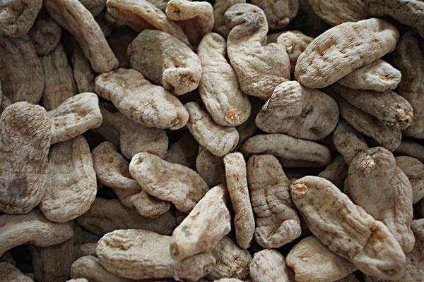 略陽縣天麻資源綜合開發項目